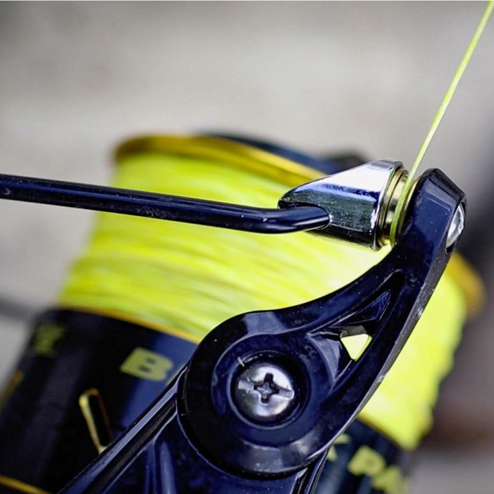 BLACK CAT Black Passion FD 50