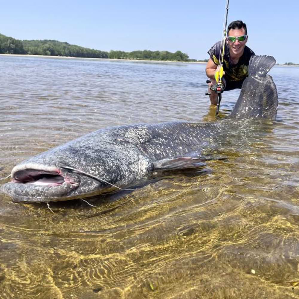 BLACK CAT Perfect Passion Allstar Cast 2.20m 30-130g