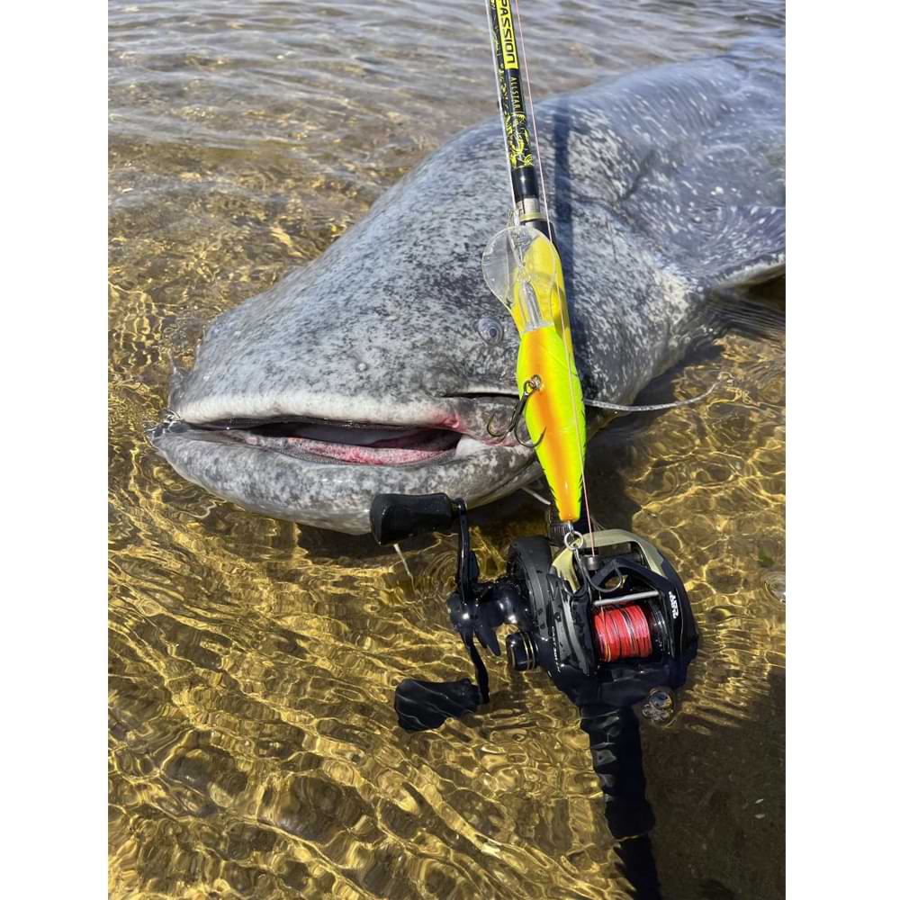 BLACK CAT Perfect Passion Allstar Cast 2.20m 30-130g