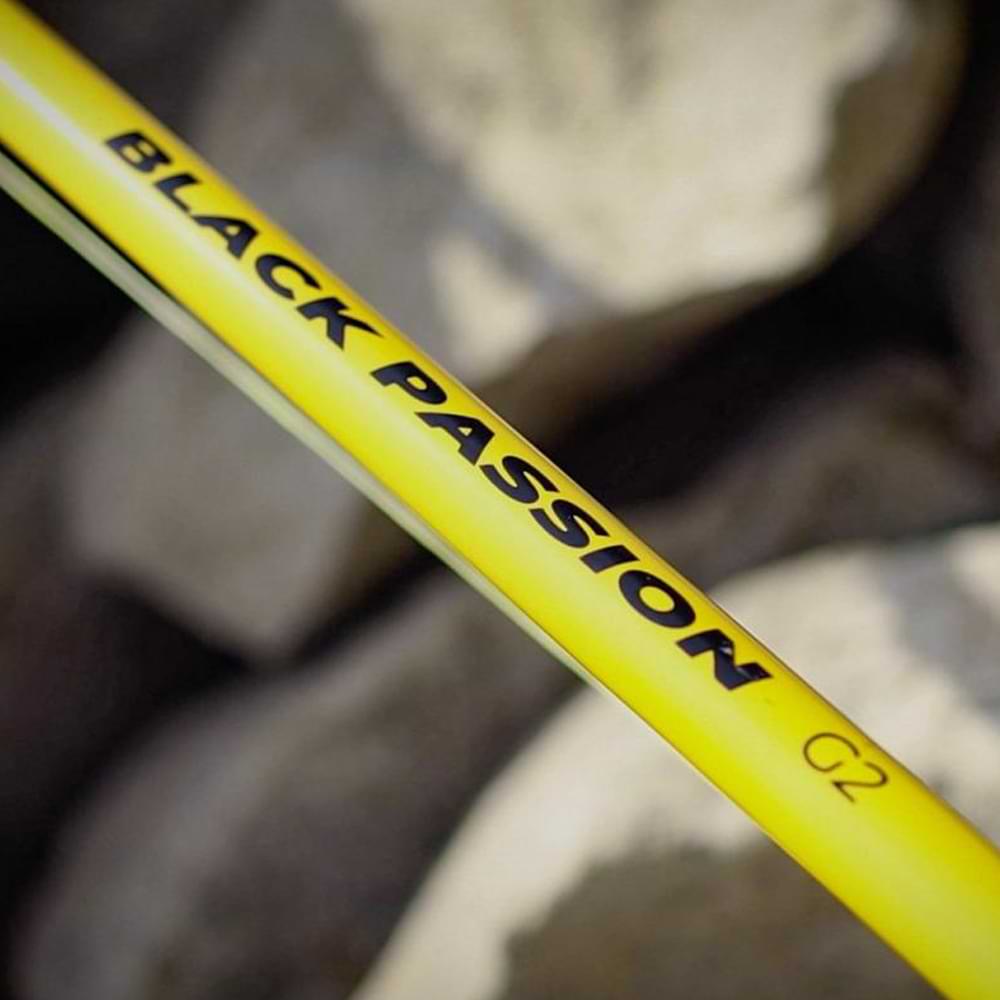 BLACK CAT Black Passion G2 Allround 2.70m 600g