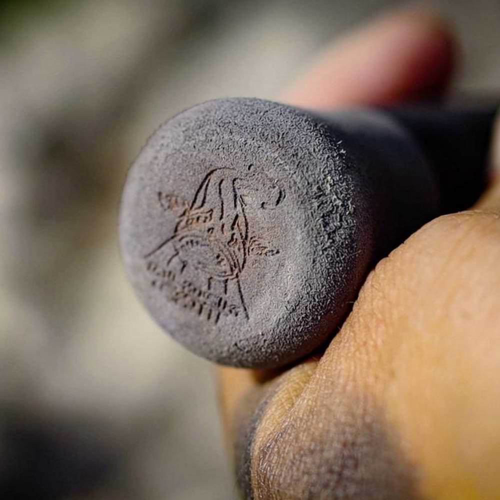 BLACK CAT Black Passion G2 Allround 2.70m 600g