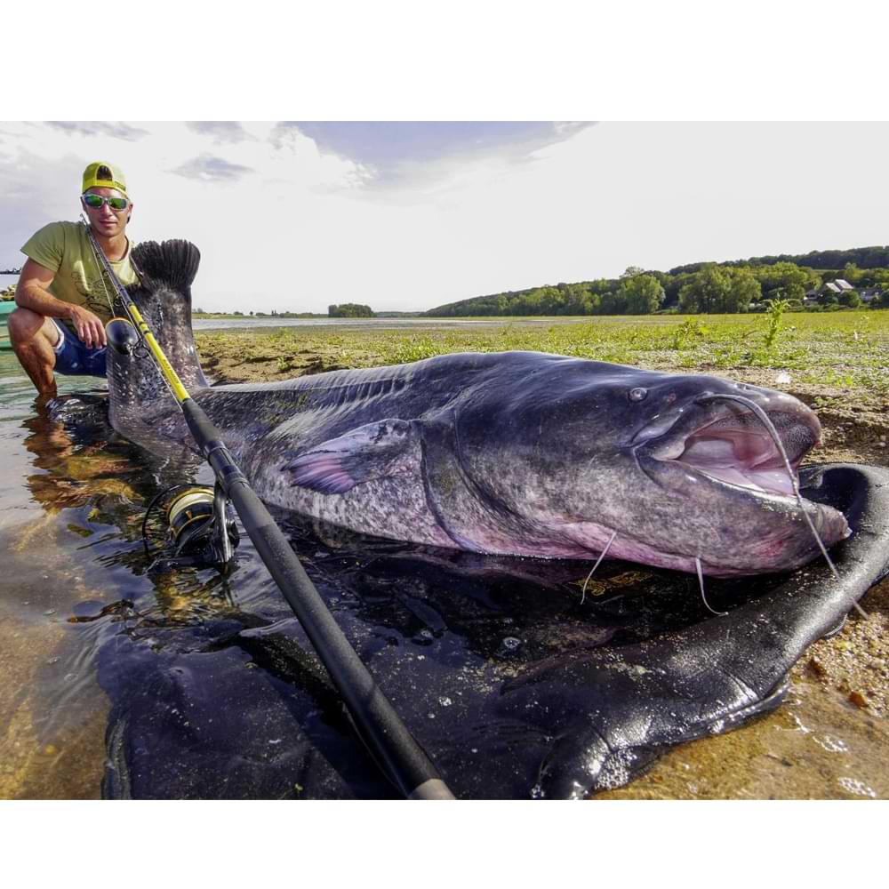 BLACK CAT Black Passion G2 Allround 2.70m 600g