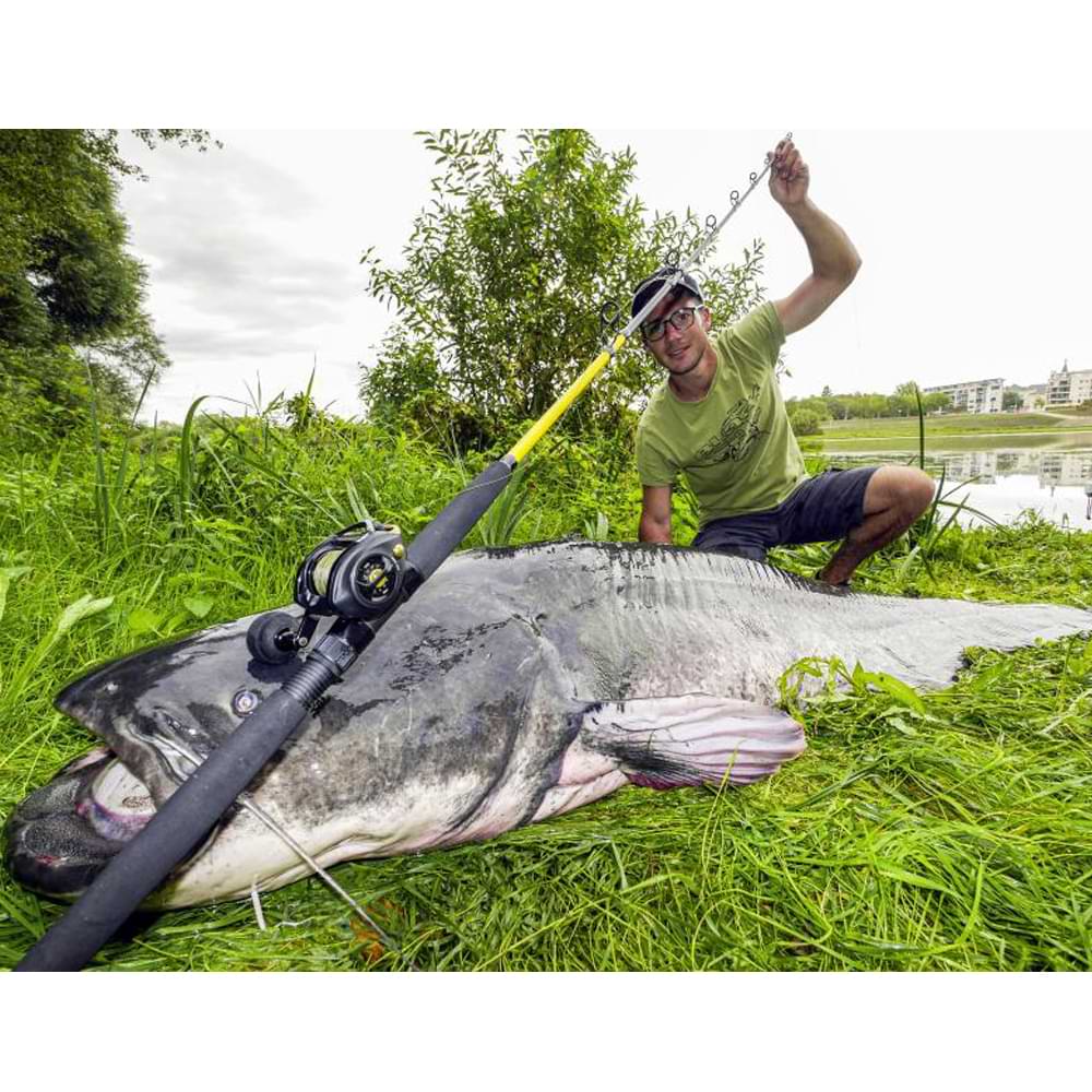 BLACK CAT Black Passion G2 Vertical 1.80m