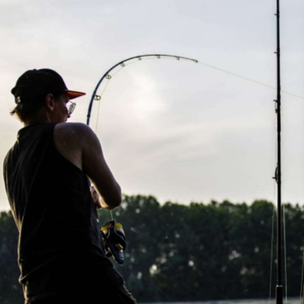 BLACK CAT Zeus Line G2 250m YELLOW