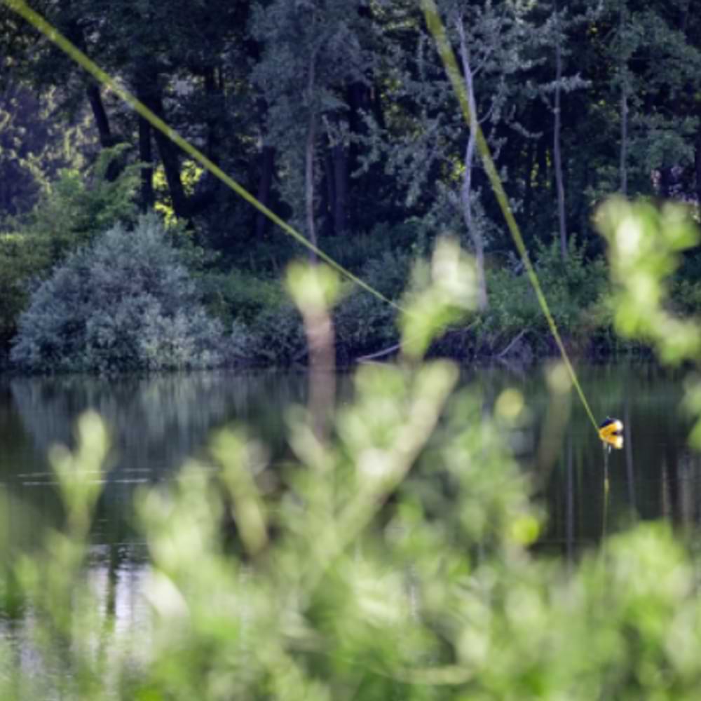 BLACK CAT Zeus Line G2 250m YELLOW