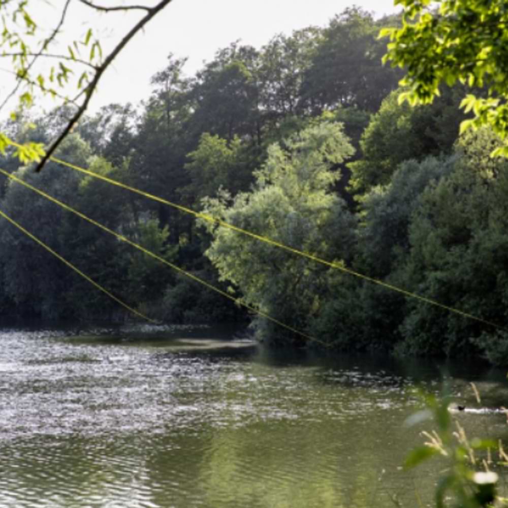 BLACK CAT Zeus Line G2 250m YELLOW