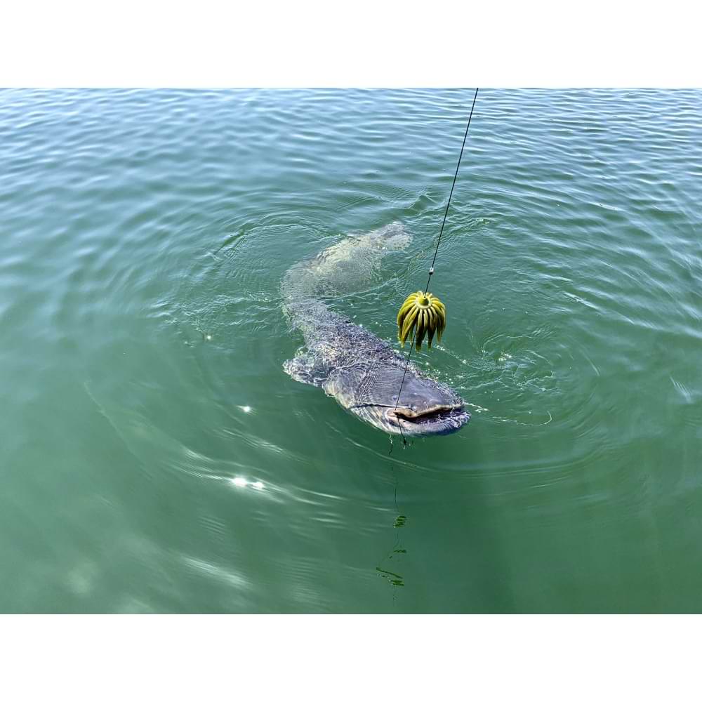 BLACK CAT Real Worm Teaser 80g