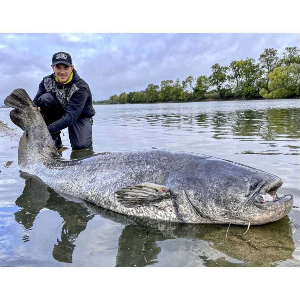 BLACK CAT Slime Combo