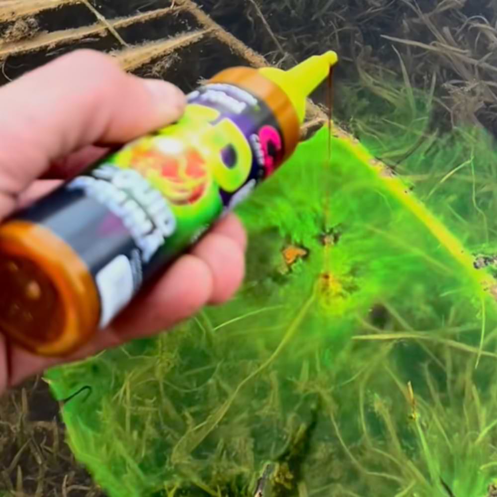 CPK 3D Range Dip Honey 70ml