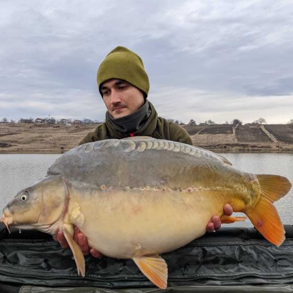 CPK Wafter Pop Up Krill 10x14mm 60g