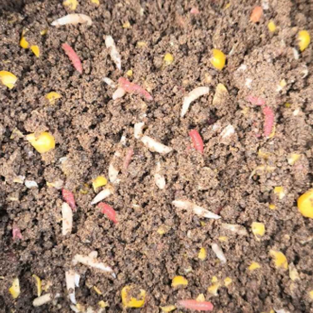 CHAMPION FEED Fruity Fish 2kg