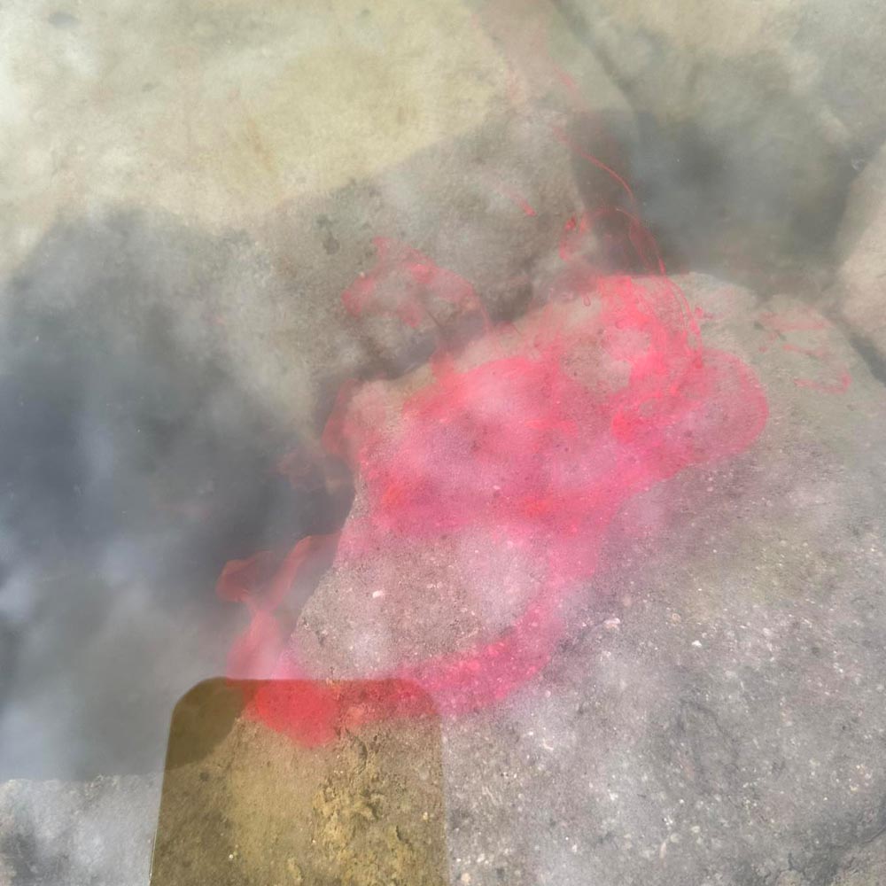 CHAMPION FEED Smoke 125 ml