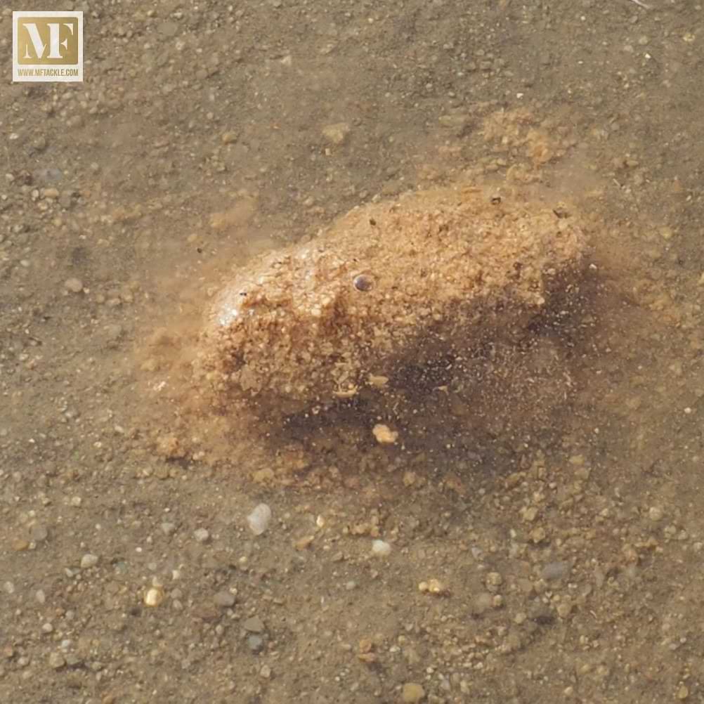 CHAMPION FEED Kim Canal Brown 1kg