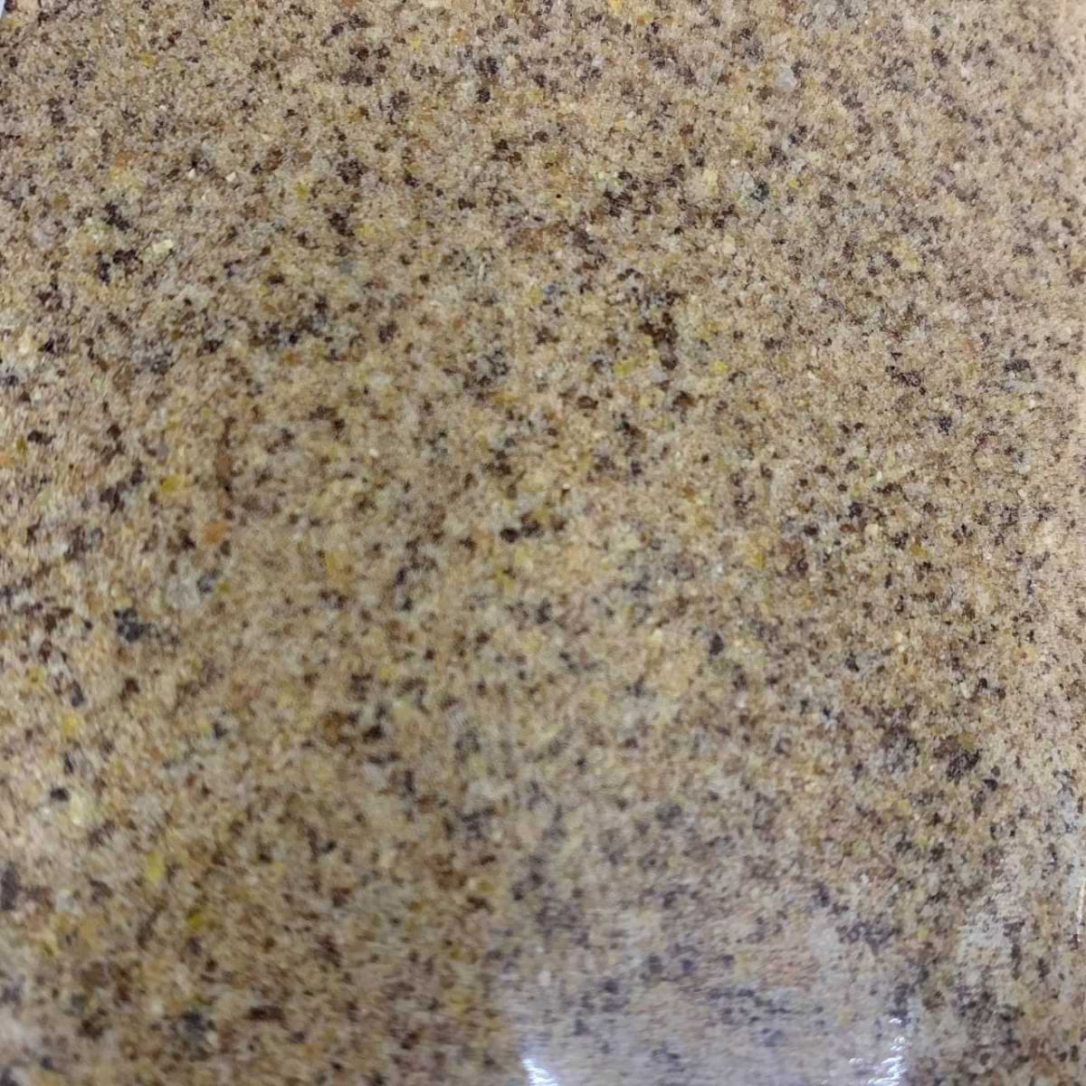 CHAMPION FEED Starter River 5kg