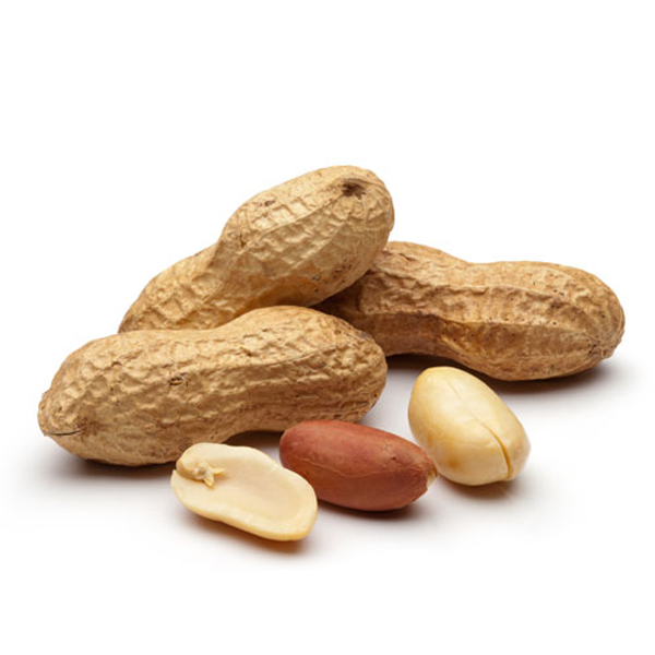 CHAMPION FEED Arachide 1kg