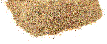 CHAMPION FEED World Cup Competition 1kg