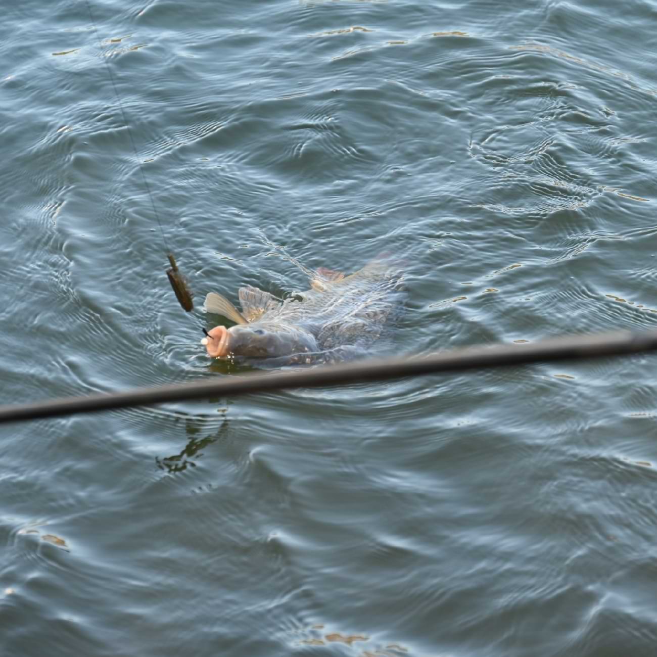 CRESTA Identity Pro Superior Feeder 3.60m 30-50g