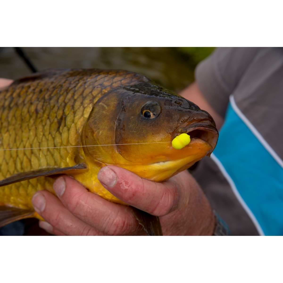 CRESTA Hookable Baitbands