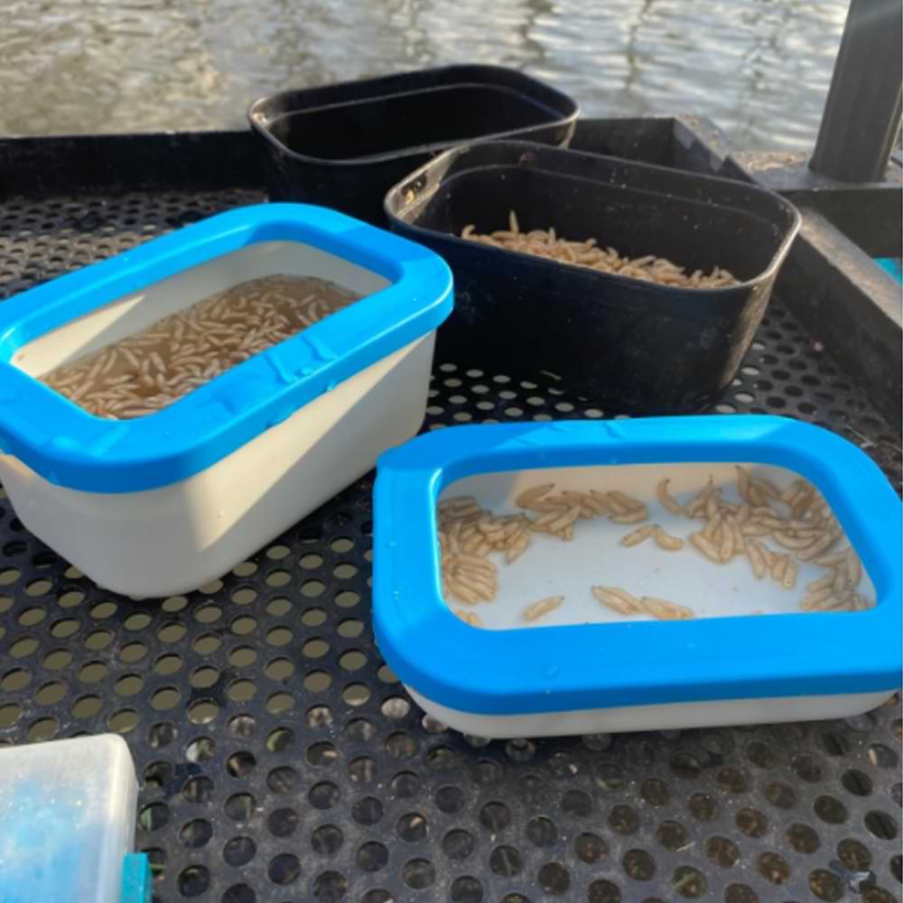 CRESTA Bait Box White Open 0,25 Ltr Lid