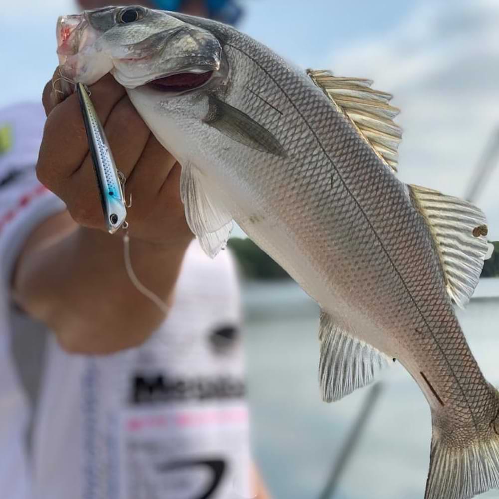 DUO Bay Ruf Manic 75 7.5cm 7.6g Sinking