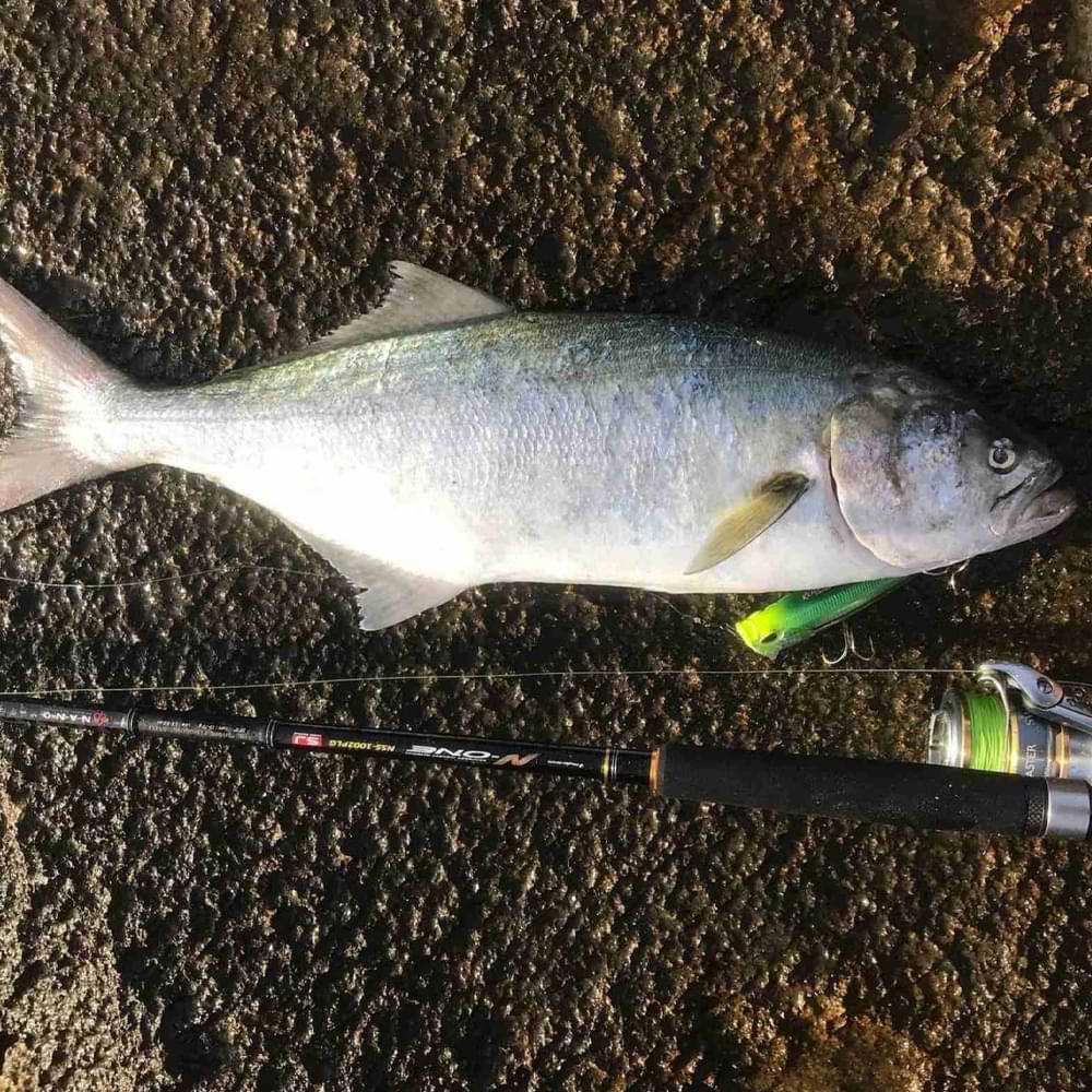 DUO Realis FangPop 120 12cm 30g