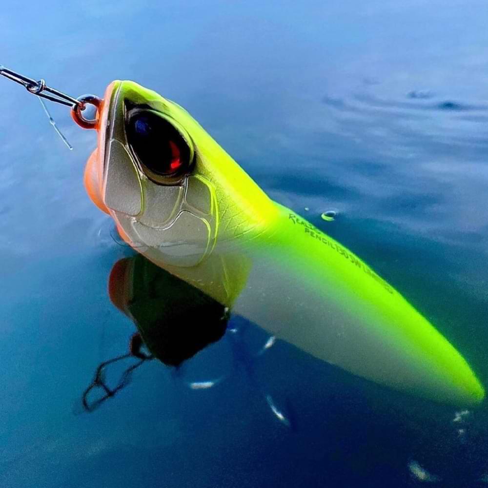 DUO Realis Pencil 110 SW Limited 110mm 22.5g Floating 