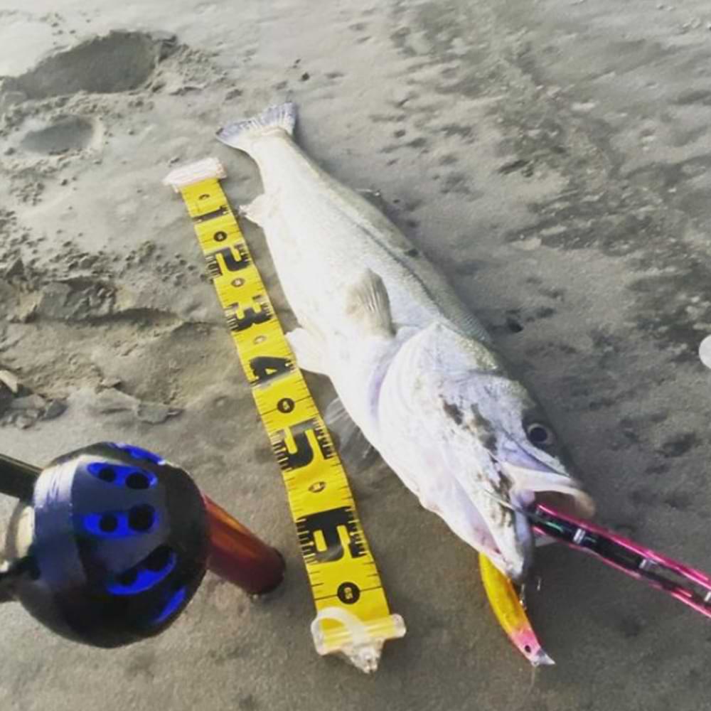 DUO Beach Walker Axcion Slim 105 10.5cm 33g Sinking