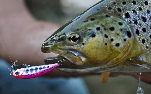 DUO Spearhead Ryuki - 38S