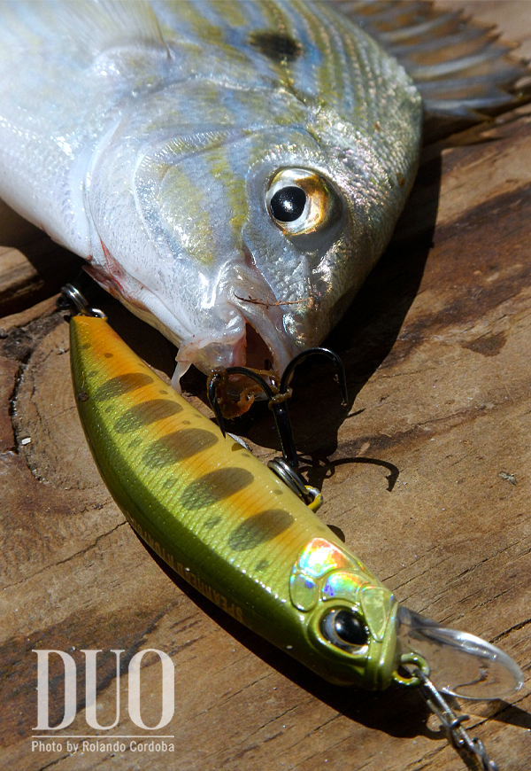 DUO Spearhead Ryuki - 95S