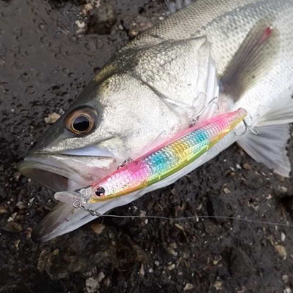 DAIWA Shore Line Shiner-Z Vertice R Laser Impact 125SF 125mm 20.5g Slow Floating