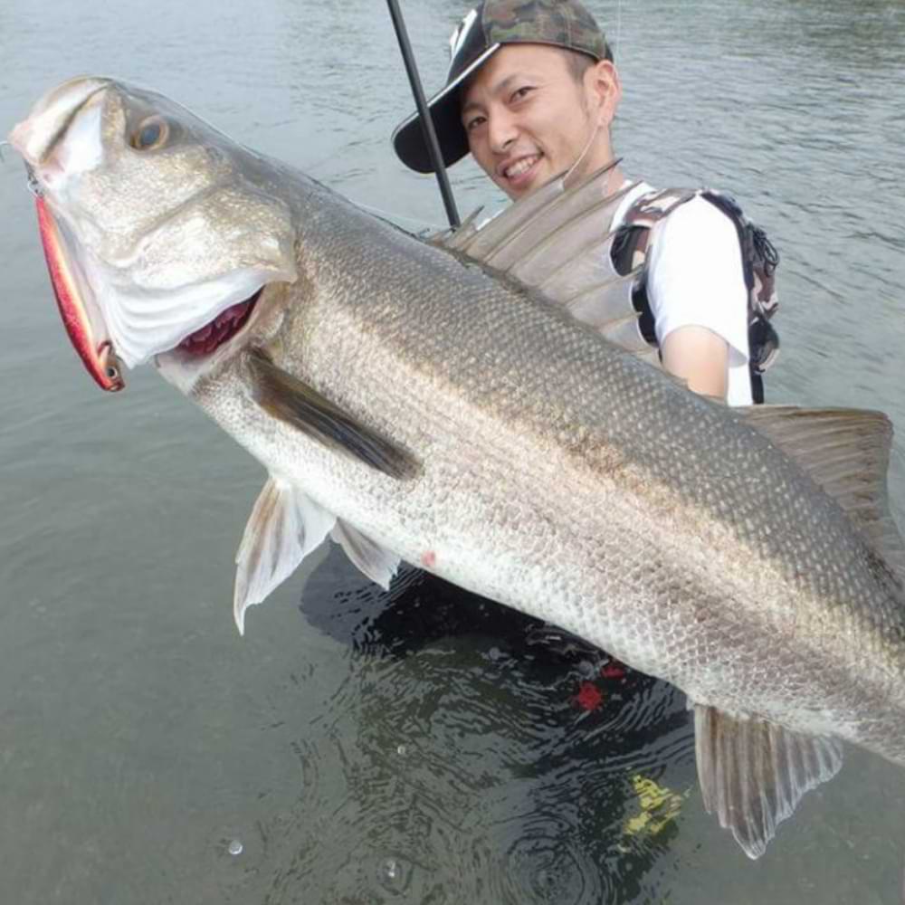 DAIWA Morethan Salt Pencil Laser Impact 110F 110mm 19g Floating