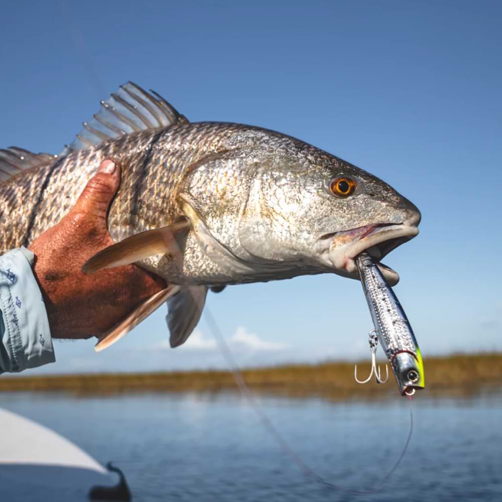 DAIWA Morethan Salt Pencil Laser Impact 110F 110mm 19g Floating