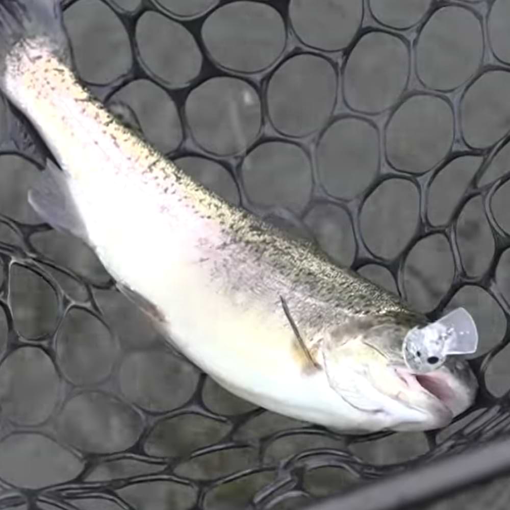 DAIWA Presso Wabcra JR. 25SS SR 25mm 1.7g Slow Sinking