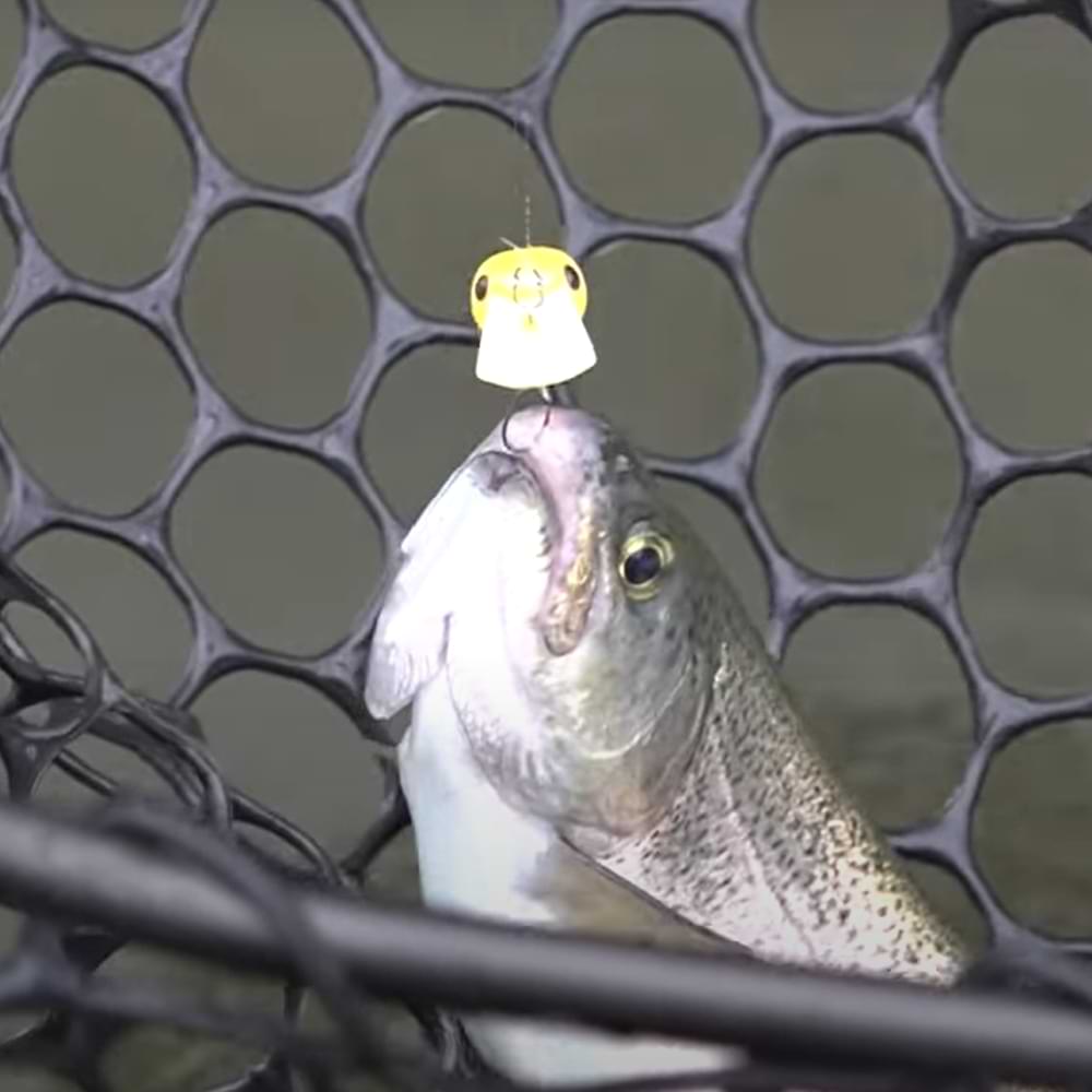 DAIWA Presso Wabcra JR. 25SS SR 25mm 1.7g Slow Sinking