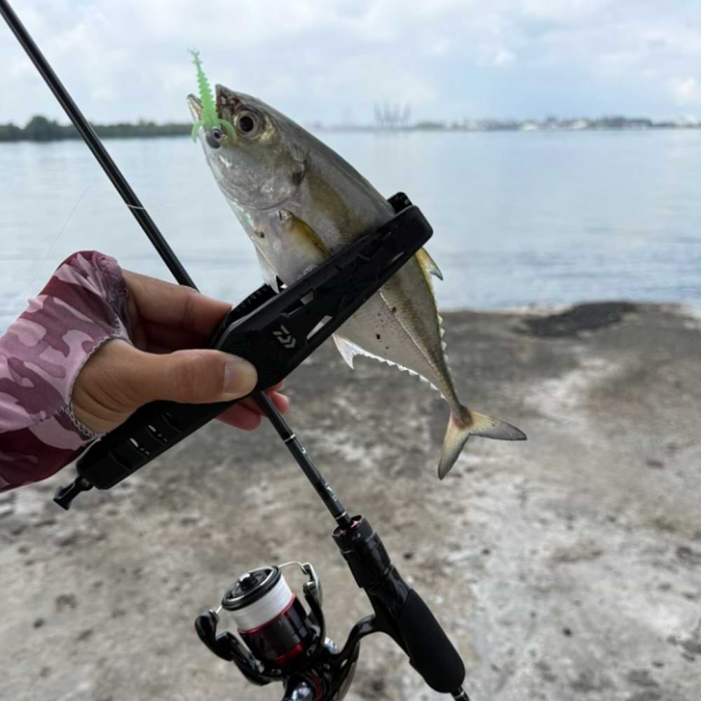 DAIWA Fish Holder Light 200