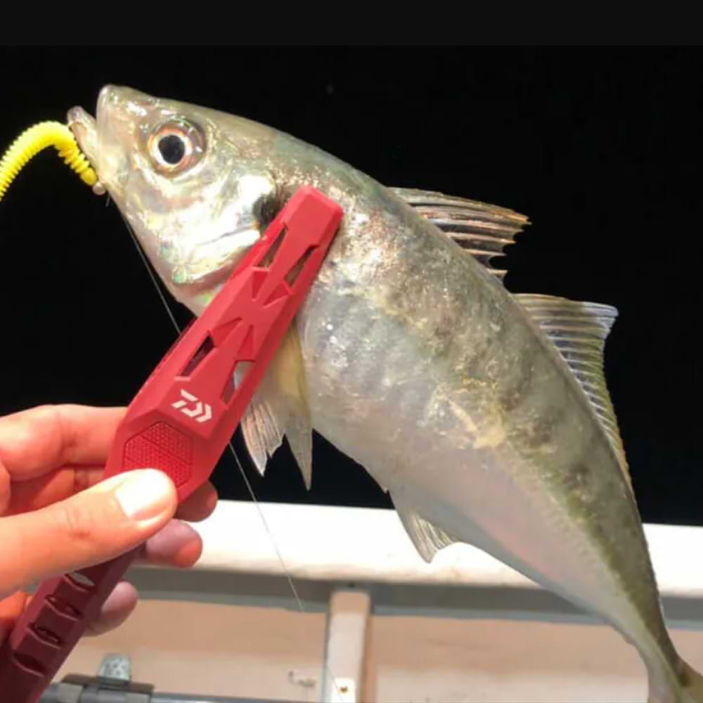 DAIWA Fish Holder Light 200