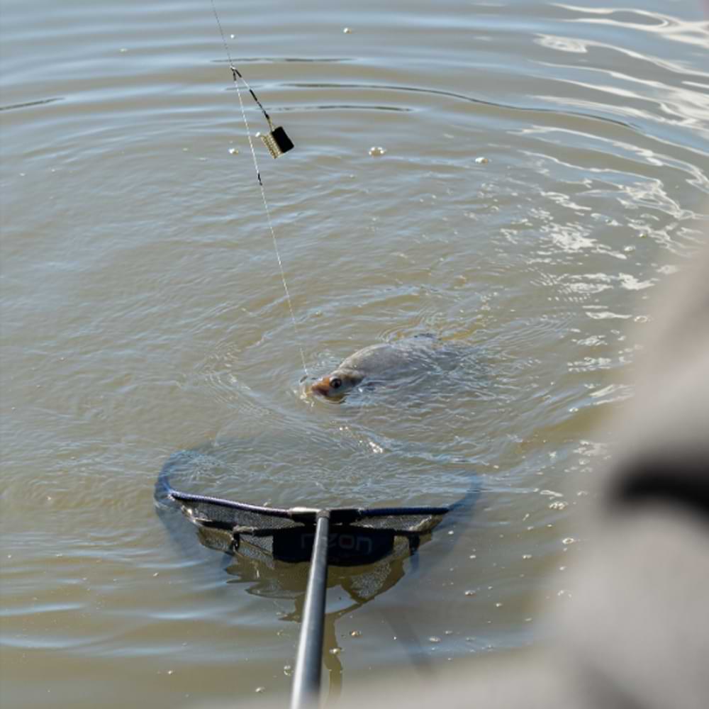 DAIWA N'Zon Power Gum Feeder Link