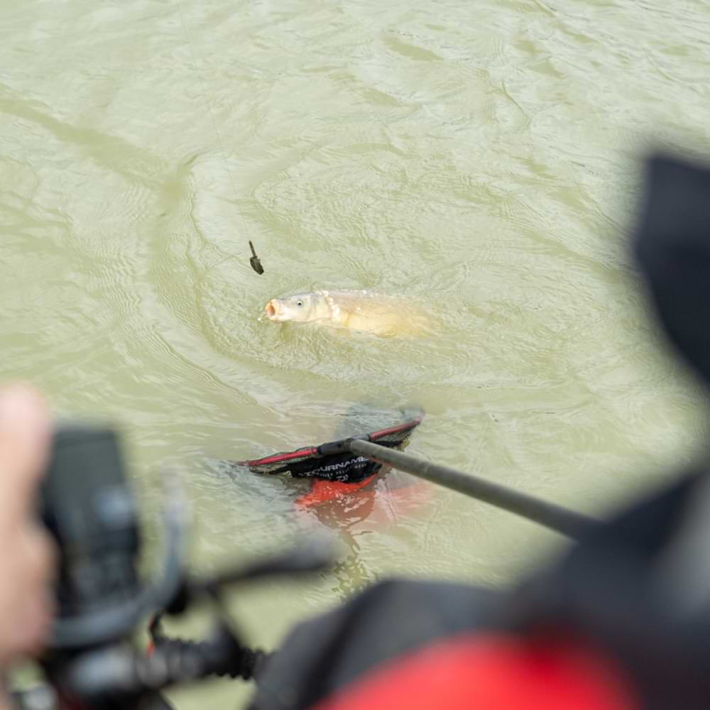 DAIWA N'Zon Method Feeder S