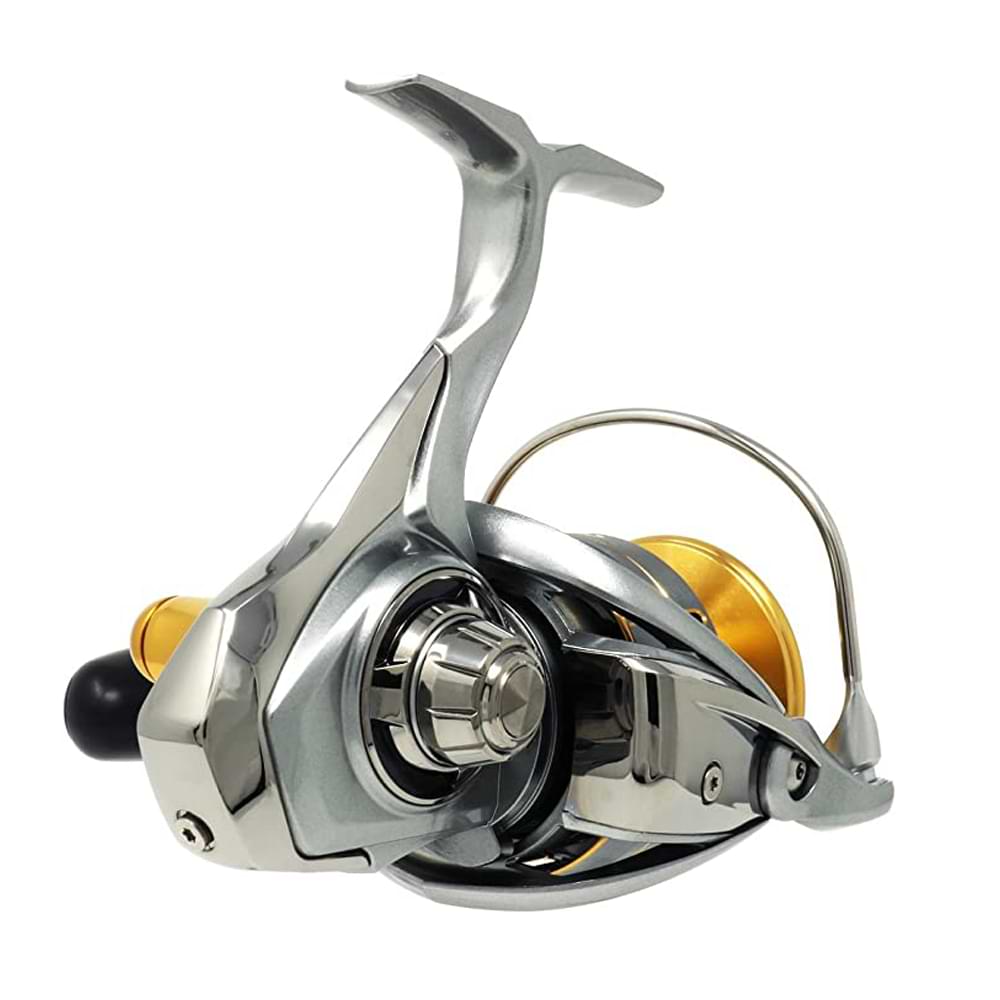 DAIWA Freams LT 6000 DH