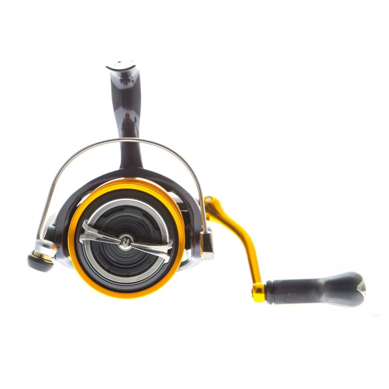 DAIWA 19 Revros LT 6000