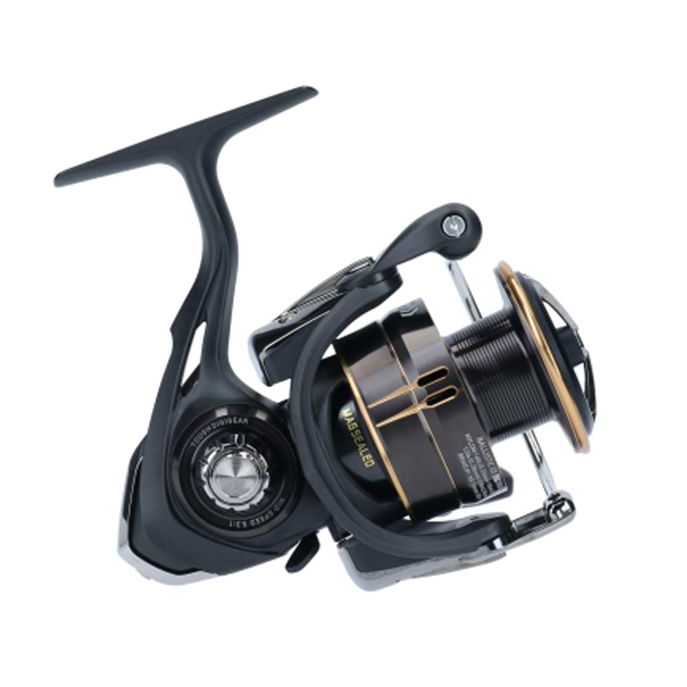 DAIWA 20 Ballistic EX LT 3000 DC