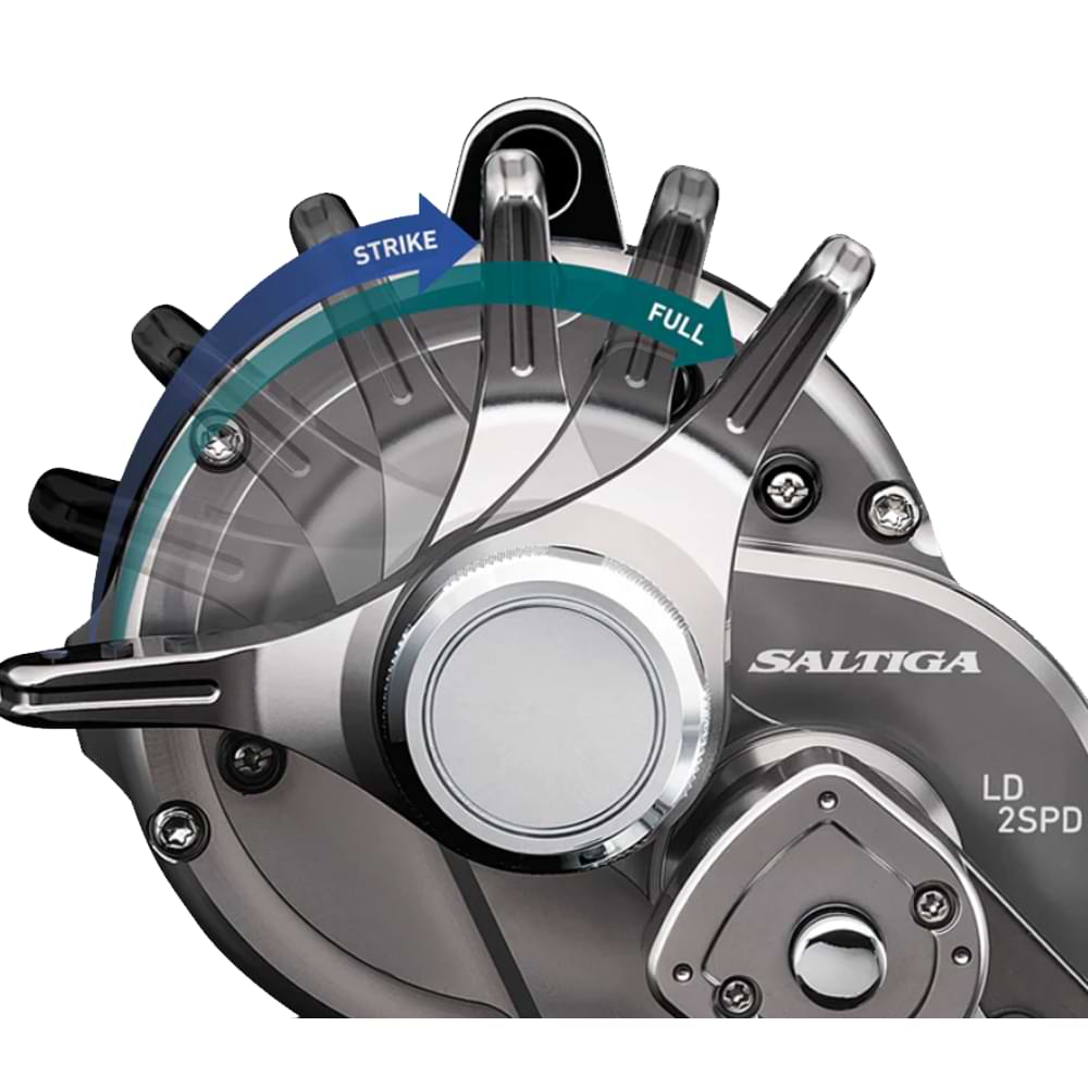 DAIWA 20 Saltiga LD 20 - 2 Speed