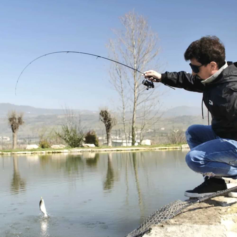 DAIWA 23 Airity ST SF 2000 SS-P