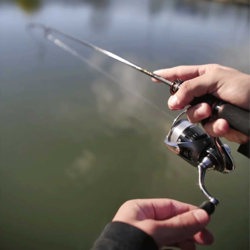 DAIWA 23 Airity ST SF 2000 SS-P