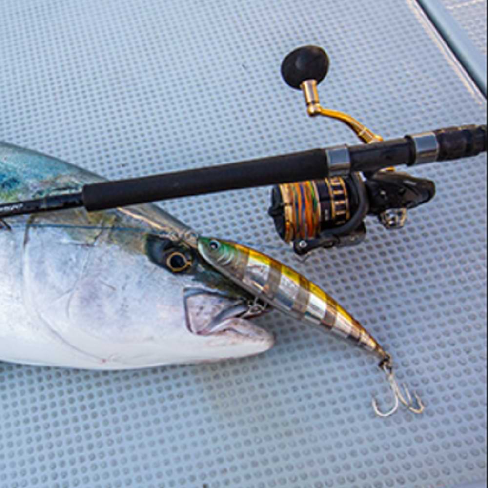 DAIWA 23 BG SW 5000D-CXH