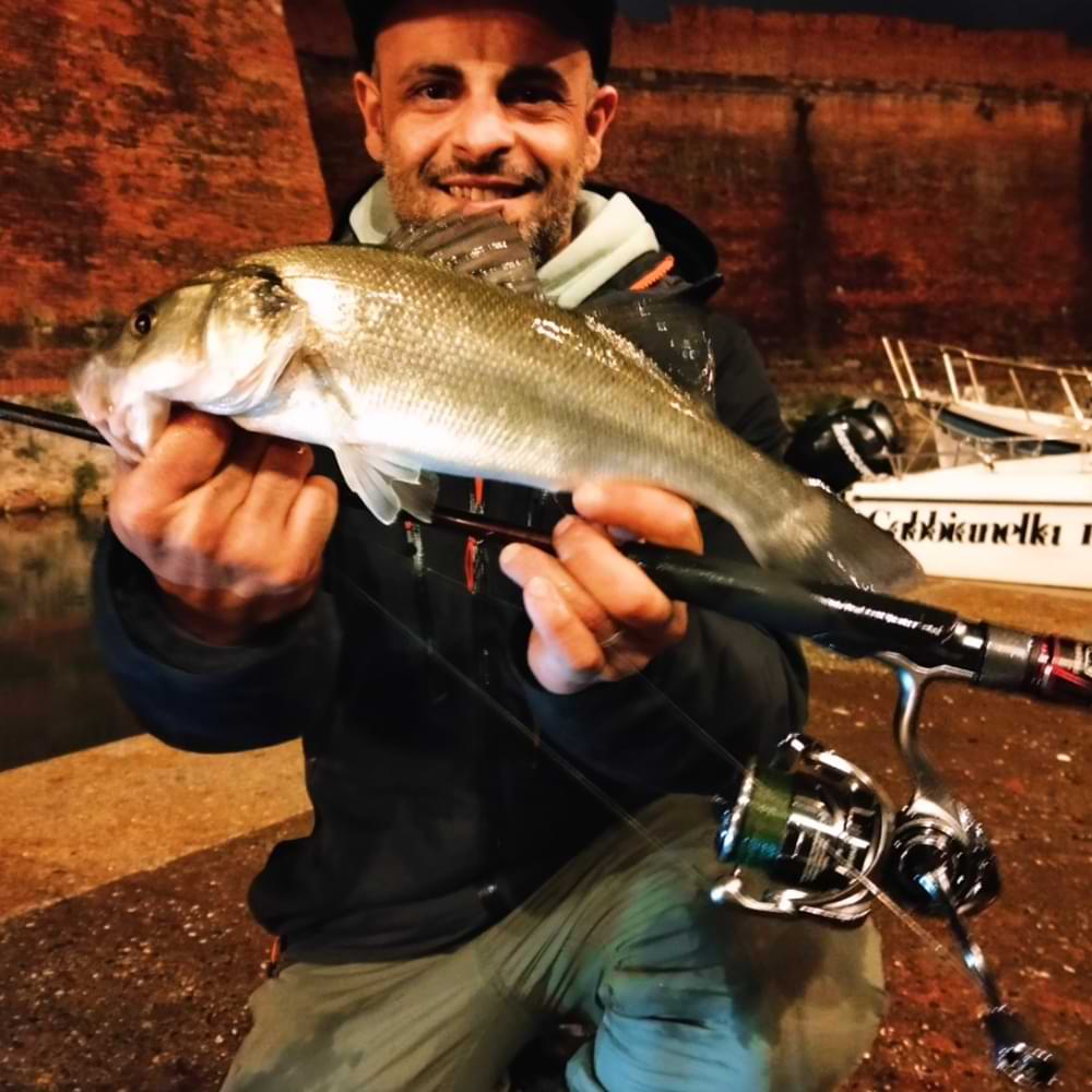 DAIWA 25 Caldia FC LT 2000S