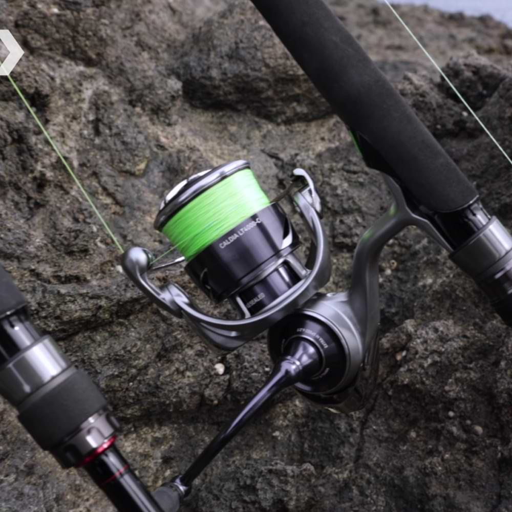 DAIWA 25 Caldia LT 4000-CXH