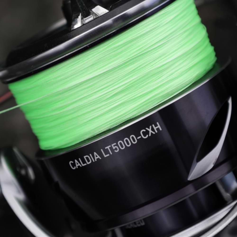 DAIWA 25 Caldia LT 5000-CXH