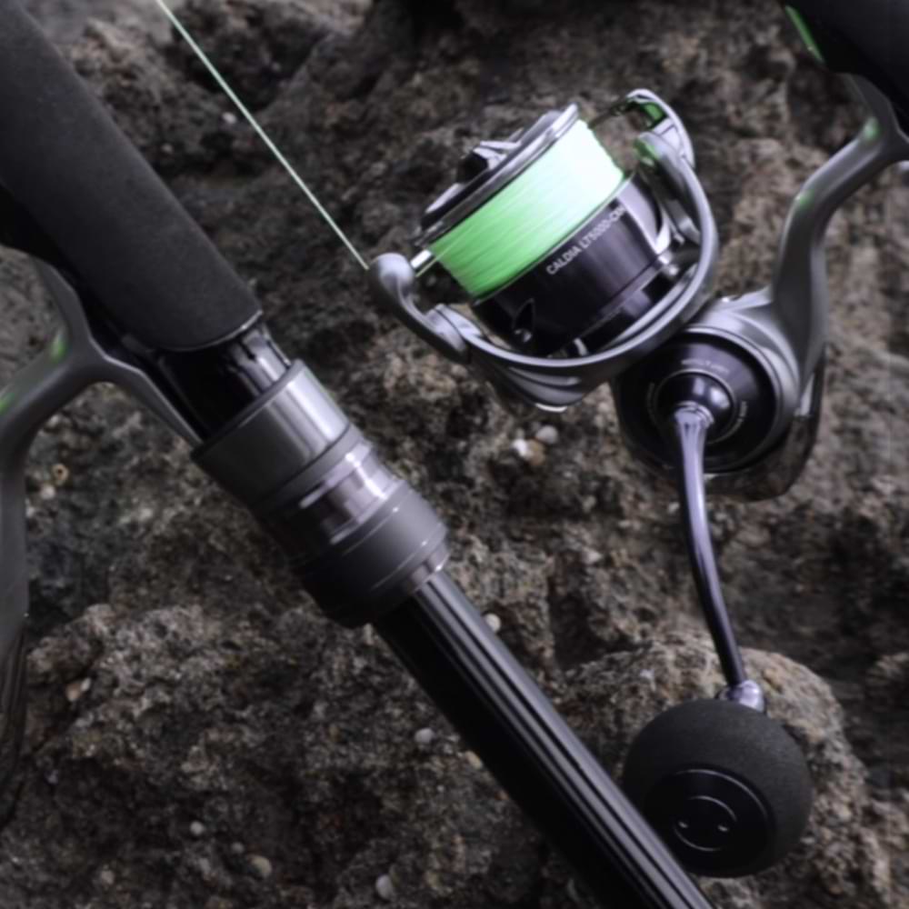 DAIWA 25 Caldia LT 5000-C