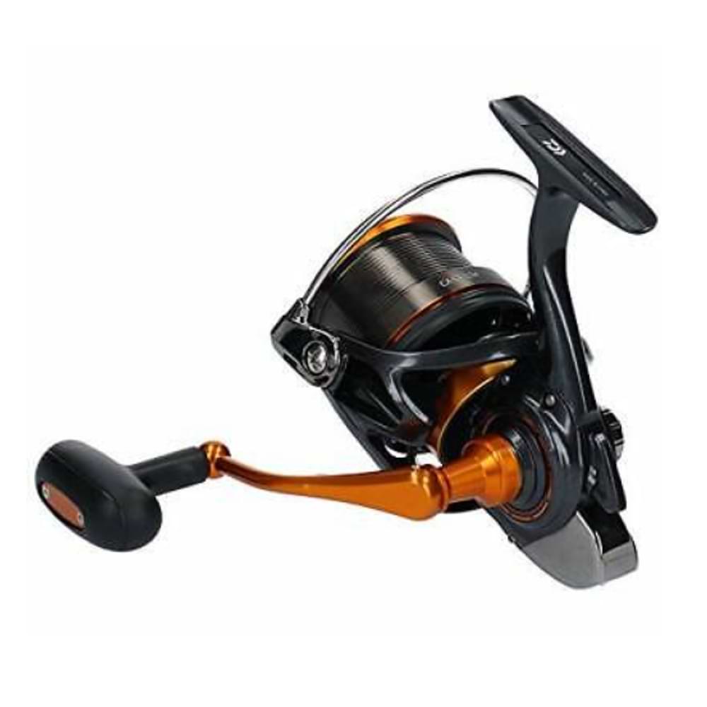 DAIWA 19 Castizm 25 QD